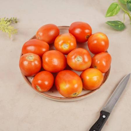 Hybrid Tomato